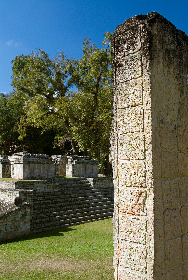 Honduras, Ruinen von Copan, Archäologischer Park von Copan, Stele 2 (Vordergrund), Struktur Nr. 9 und Ballspielplatz (Hintergrund)
