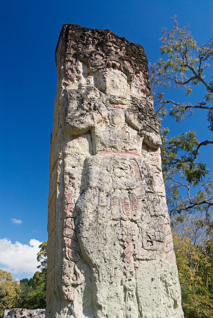 Honduras, Copan Ruinen, Archäologischer Park von Copan, Stele 2
