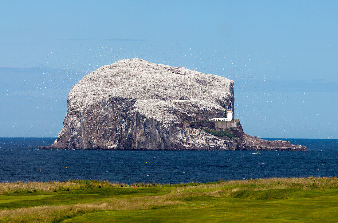 Große Felsformation (Bass Rock) im Meer mit einem Leuchtturm; Lothian Schottland