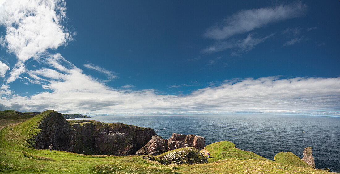 Eine Person steht mit Blick auf das felsige Vorgebirge bei St Abb's Head; Scottish Borders Schottland
