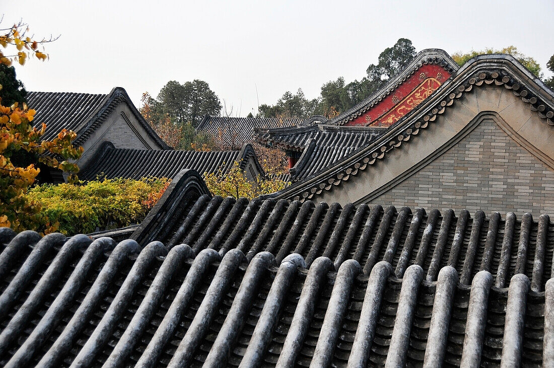 Rooftops Of Buildings; Beijing China