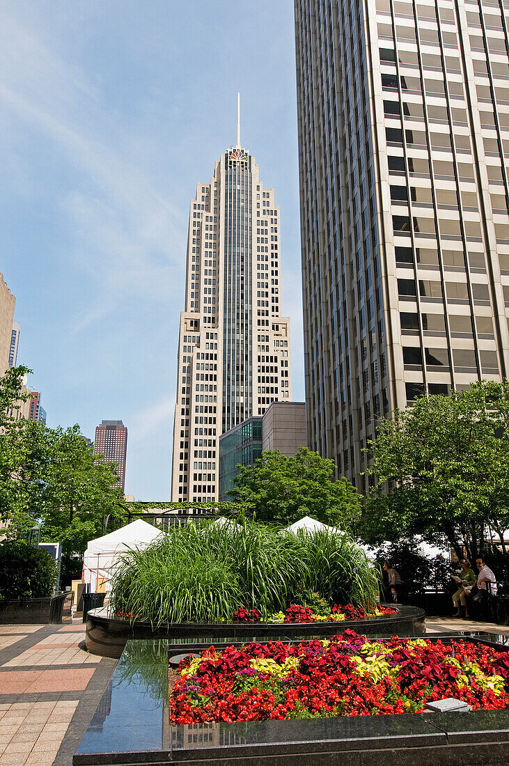 Plants And Flowers In An Urban Garden With Skyscrapers Against A Blue Sky; Chicago Illinois United States Of America