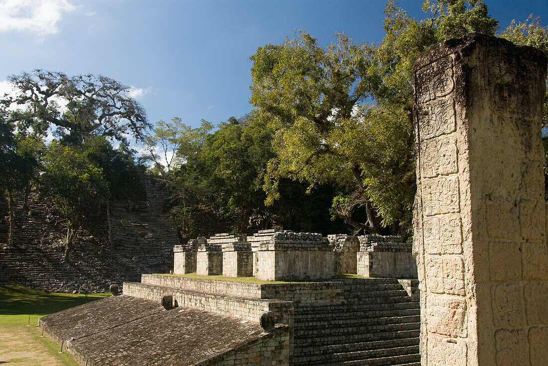Honduras, Copan Ruinen, Archäologischer Park Copan, Stele 2 (Vordergrund), Struktur #9 und Ballspielplatz (Hintergrund)