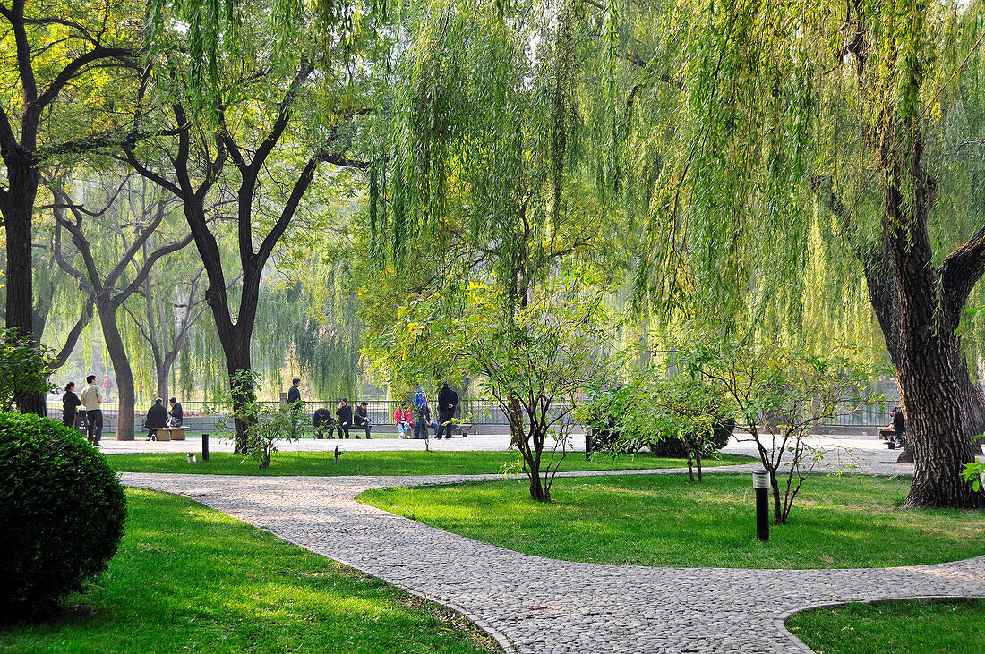 Pfade um die Bäume in einem Park mit Menschen, die auf Bänken am Wasser sitzen; Peking China