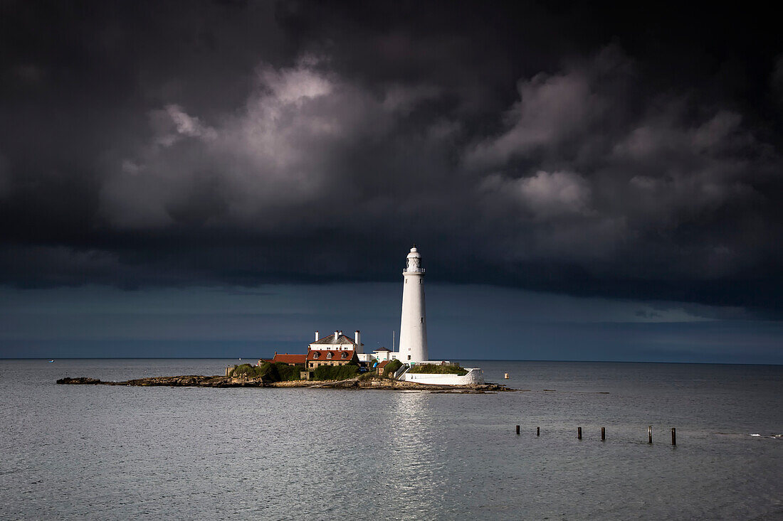 White Lighthouse Illuminated By Sunlight Under Dark Storm Clouds; St. Mary's Island Northumberland England