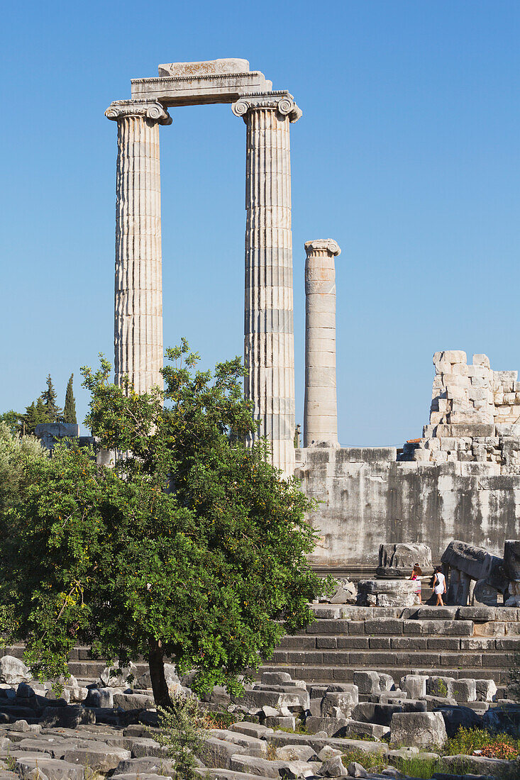 Ruinen des antiken Didyma am Apollo-Tempel von Didim; Provinz Aydin in der Türkei