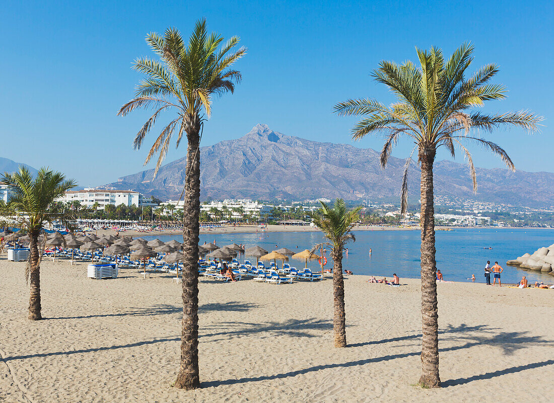 Puerto banus beach with la concha mountain in background; marbella costa del sol malaga province andalusia spain