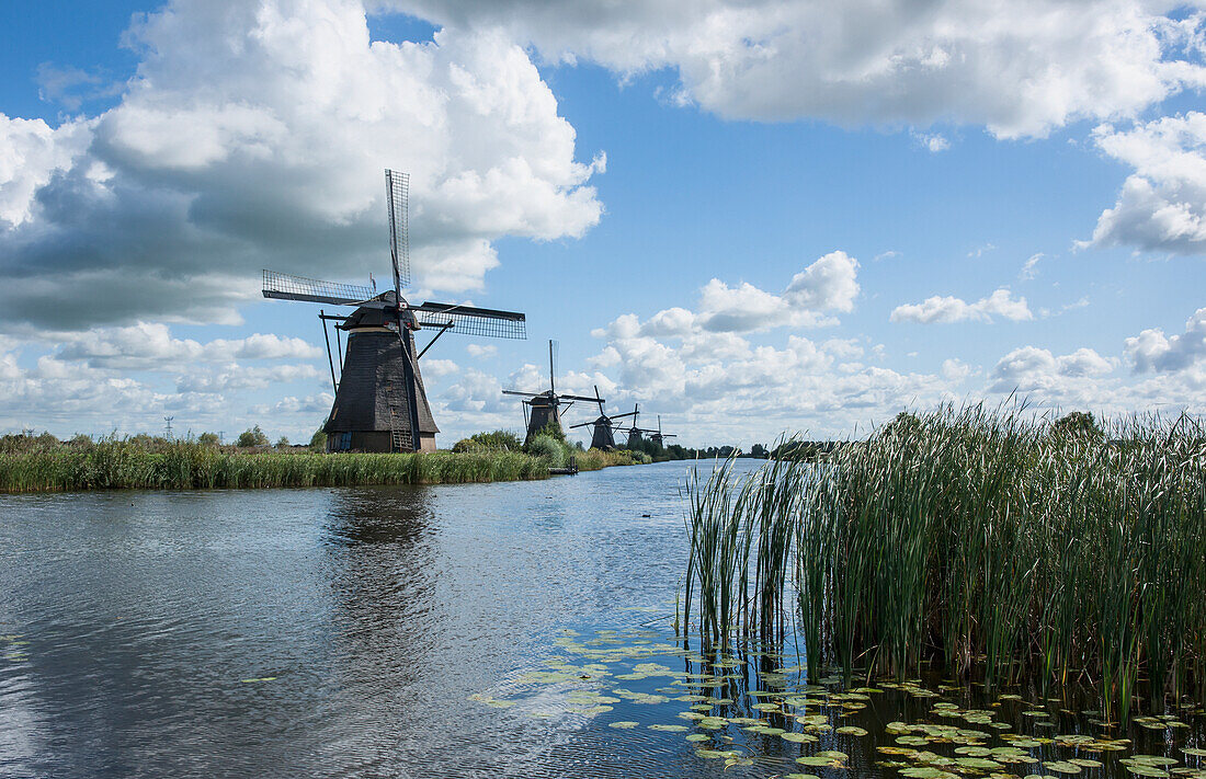 Netherlands, Kinderjik, Windmills along water's edge