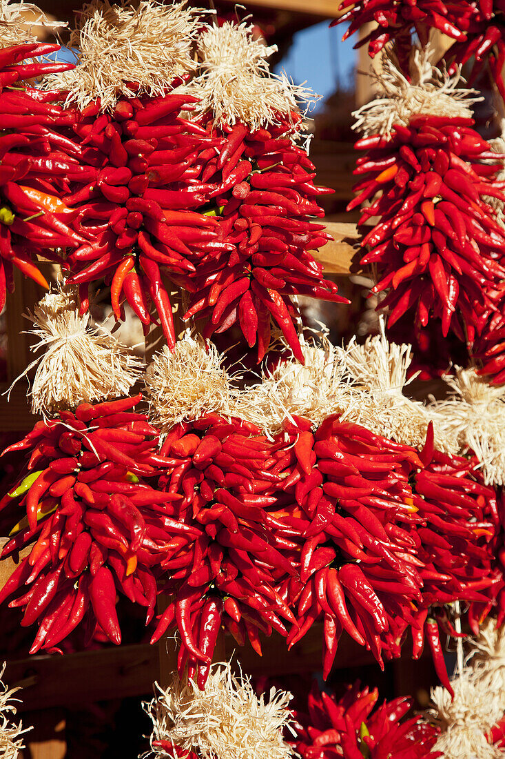 USA, New Mexico, Santa Fe, Red Chili Restras hanging outside souvenir store