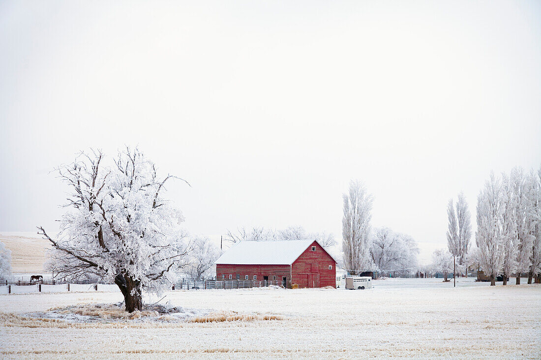 USA, Bundesstaat Washington, Walla Walla, Rote Scheune im Winter