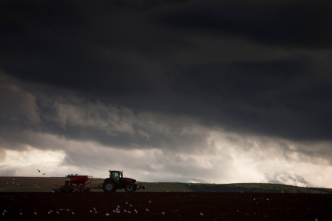 Tractor working on field under storm cloud; Northumberland, England, UK