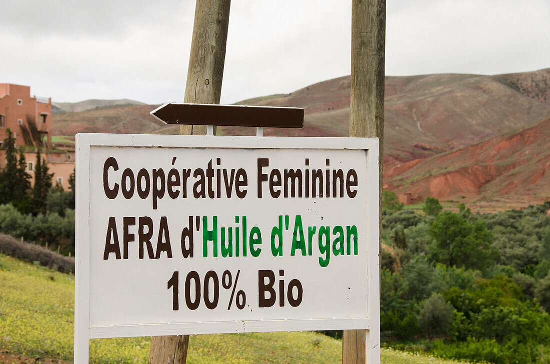 Feminine Cooperative sign for Argan Oil; Morocco