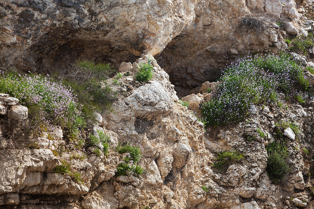 Israel, Golgotha hill; Jerusalem