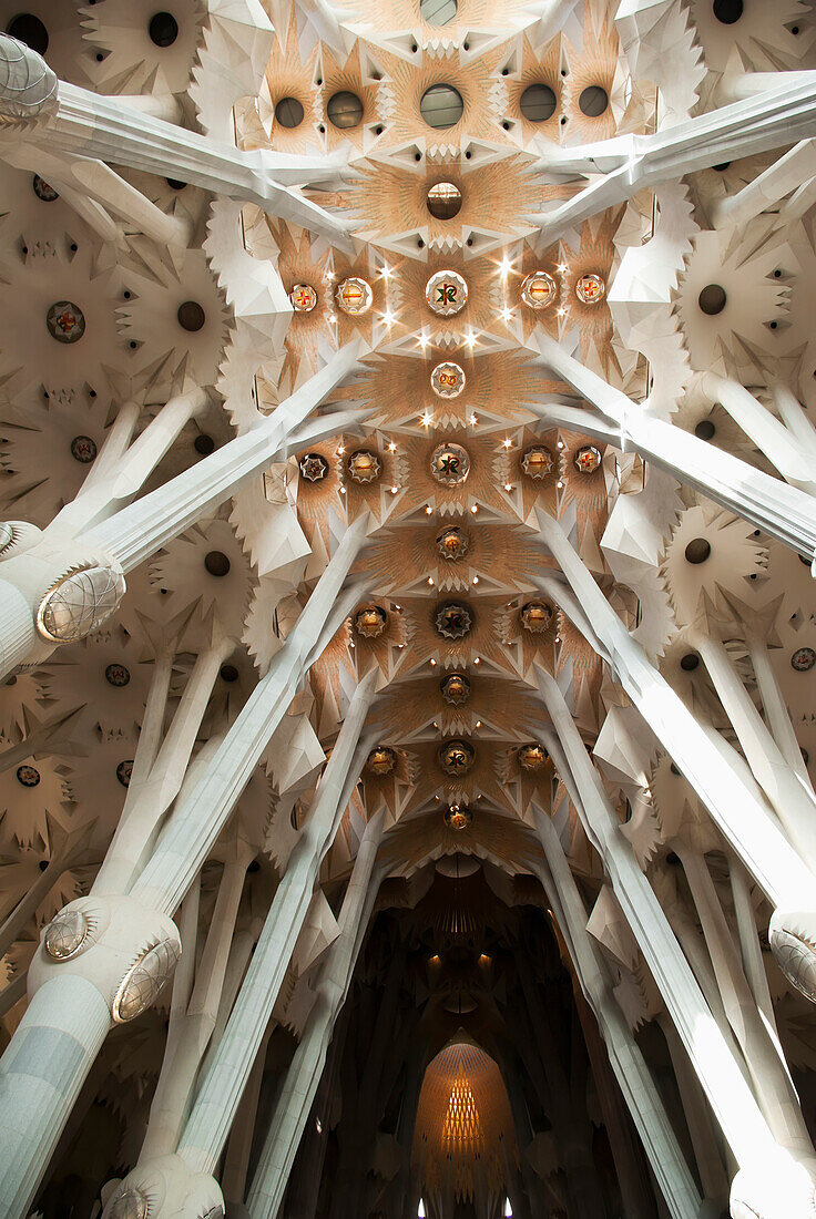 Spanien, Katalonien, Details an der Decke der Kathedrale Sagrada Familia; Barcelona