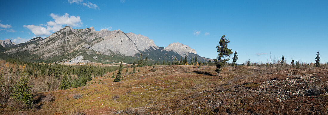 Canada, Landscape of rugged mountains and forest in Banff National Park; Alberta