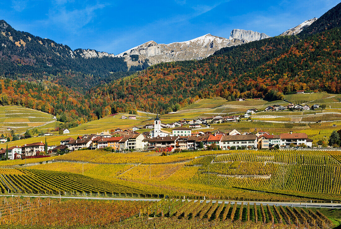Switzerland, Vineyards; Yvorne village