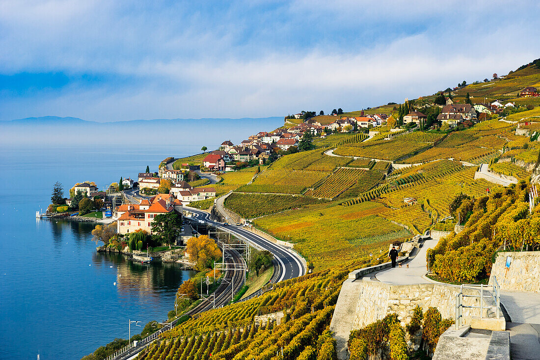 Schweiz, Lavaux Unesco Welterbe Region, Weinberge; Rivaz Dorf und Genfersee