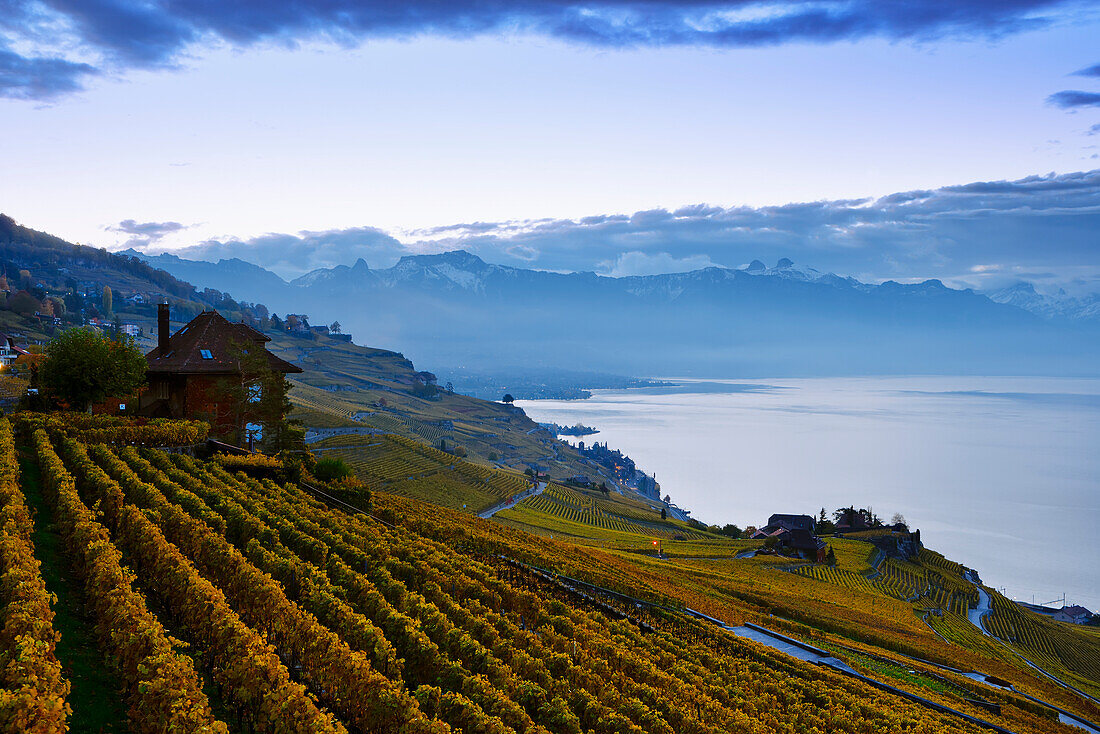 Schweiz, Lavaux Unesco Welterbegebiet, Weinberge; Dorf Rivaz und Genfersee