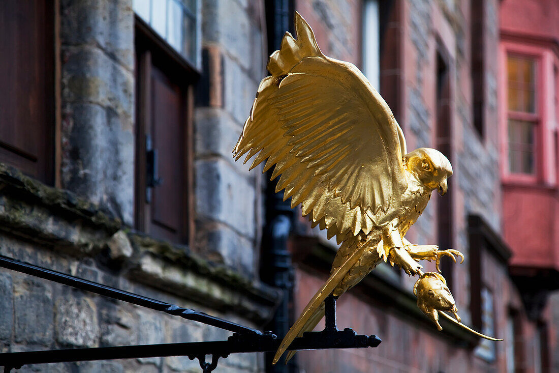 United Kingdom, Scotland, Statue of hunting golden hawk; Edinburgh