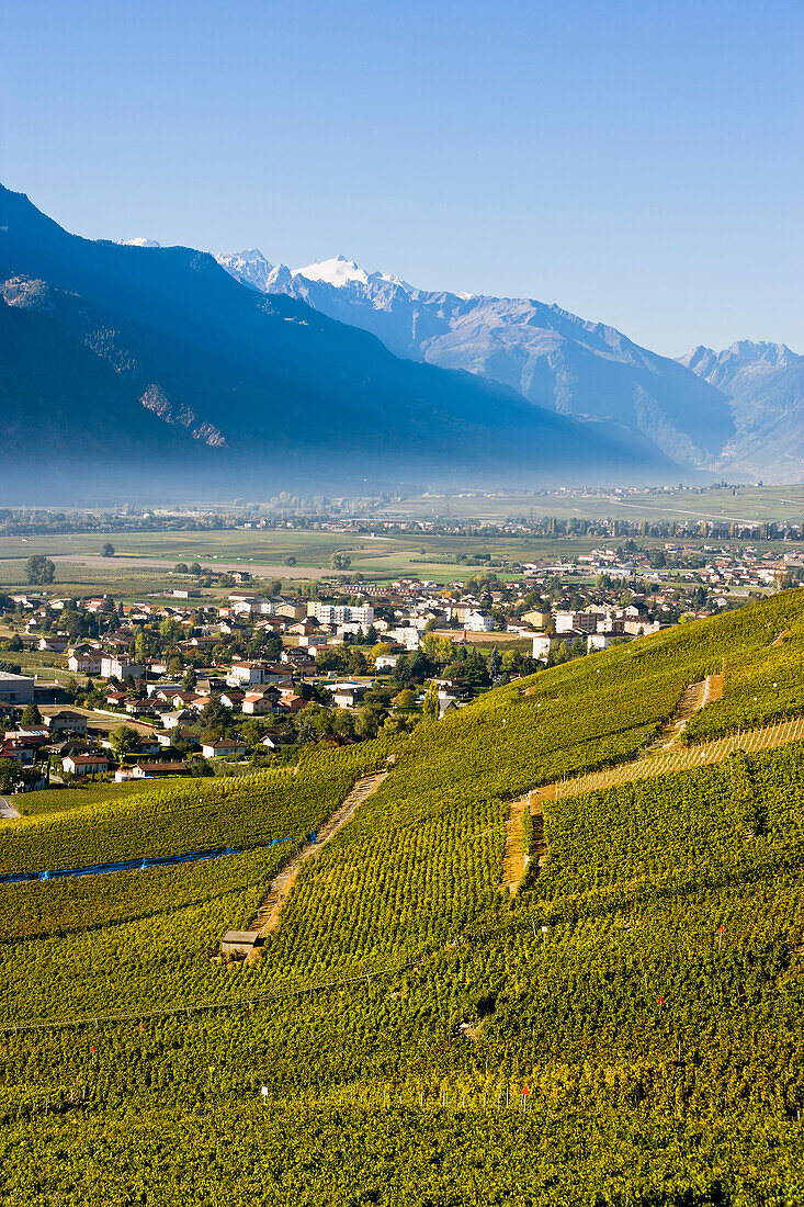 Schweiz, Wallis, Weinberge und Dorf; Vetroz