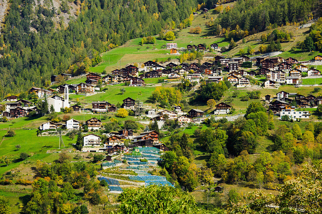 Switzerland, Valais, View of town; Staldenried