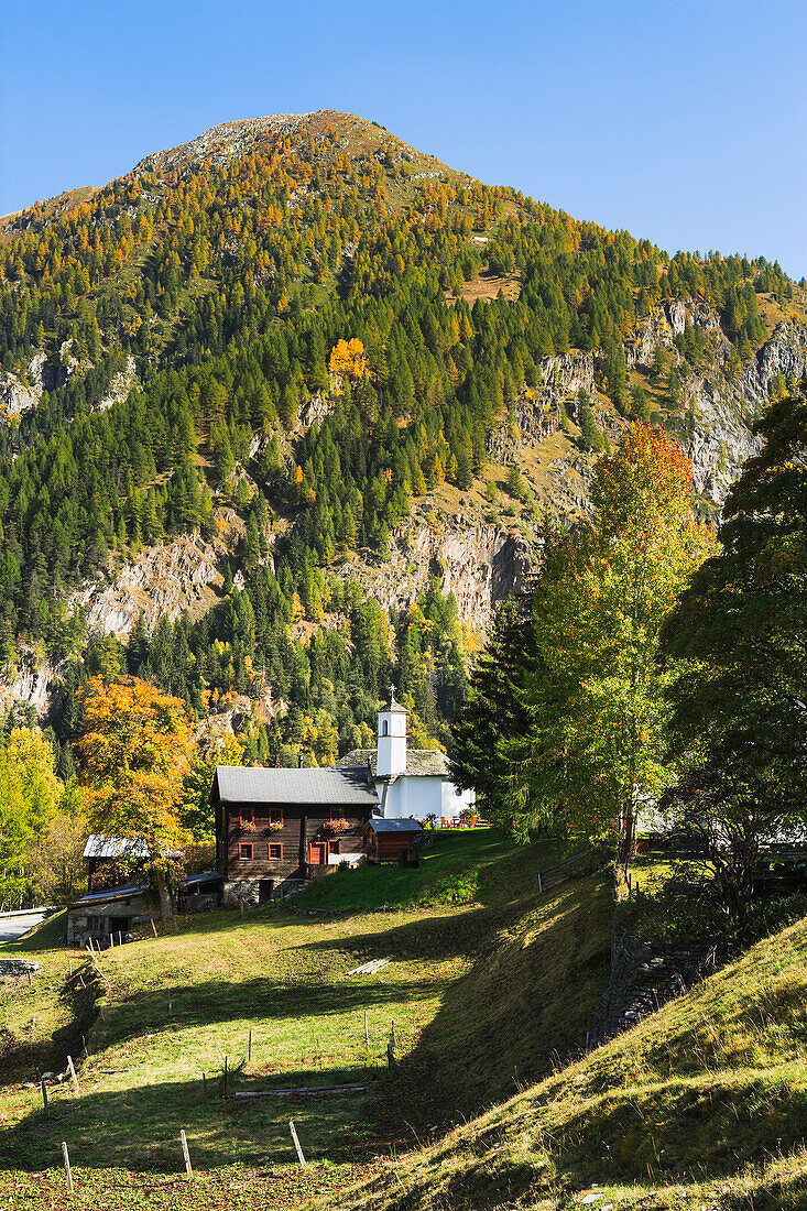 Switzerland, Landscape near Berisal; Valais