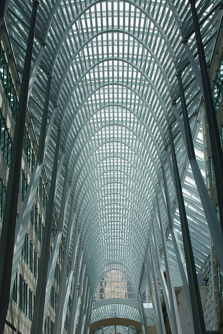 Große gewölbte Glas- und Metallkuppeldecke; Toronto, Ontario, Kanada