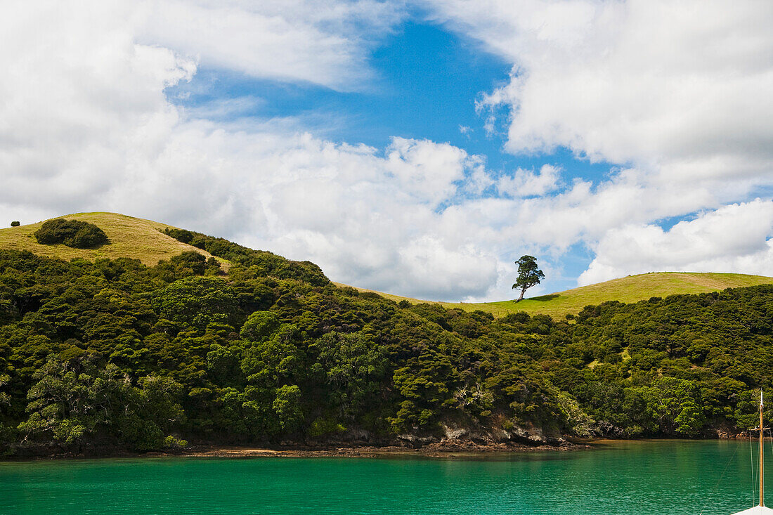 Küstenlinie von Urupukapuka Island, eine der Inseln in der Bay Of Islands; Urupukapuka Island, Neuseeland