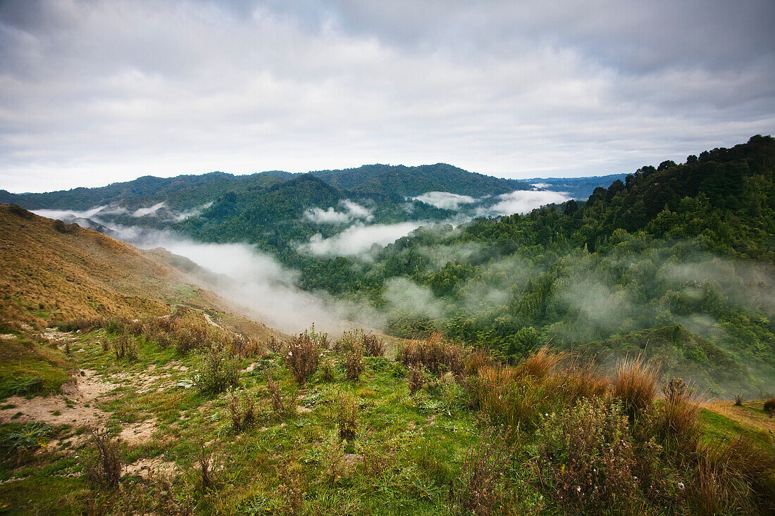 View From The Tops Of The Hills Over The Morning Fog At Blue Duck Lodge In The Whanganui National Park; Whakahoro, New Zealand
