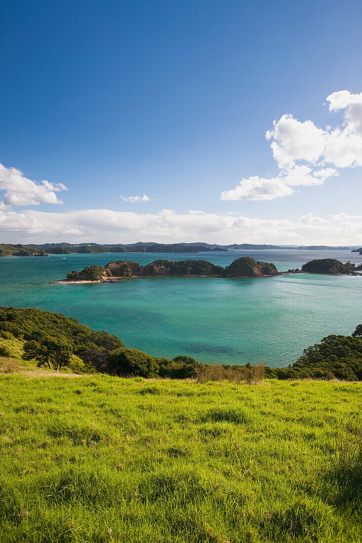 Küstenlinie von Urupukapuka Island, der größten aller Inseln in der Bay of Islands; Neuseeland