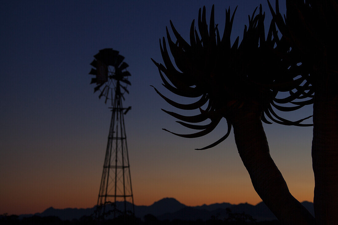 Windmill And Quiver Tree (Aloe Dichotoma) At Sunset; Namibia
