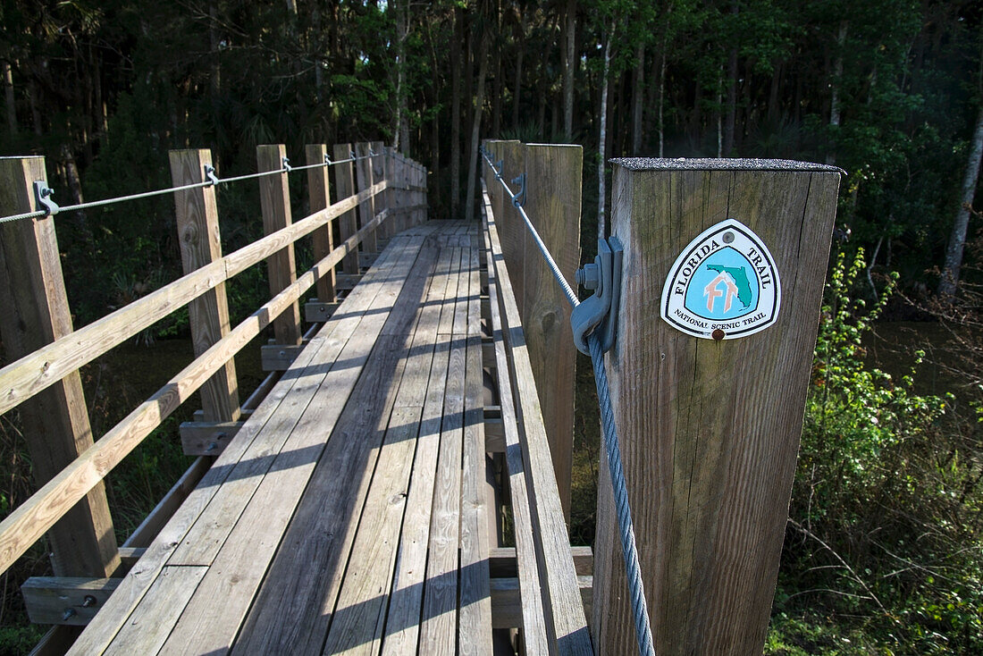Florida Trail, Tosohatchee Wildlife Management Area; Florida, Vereinigte Staaten Von Amerika