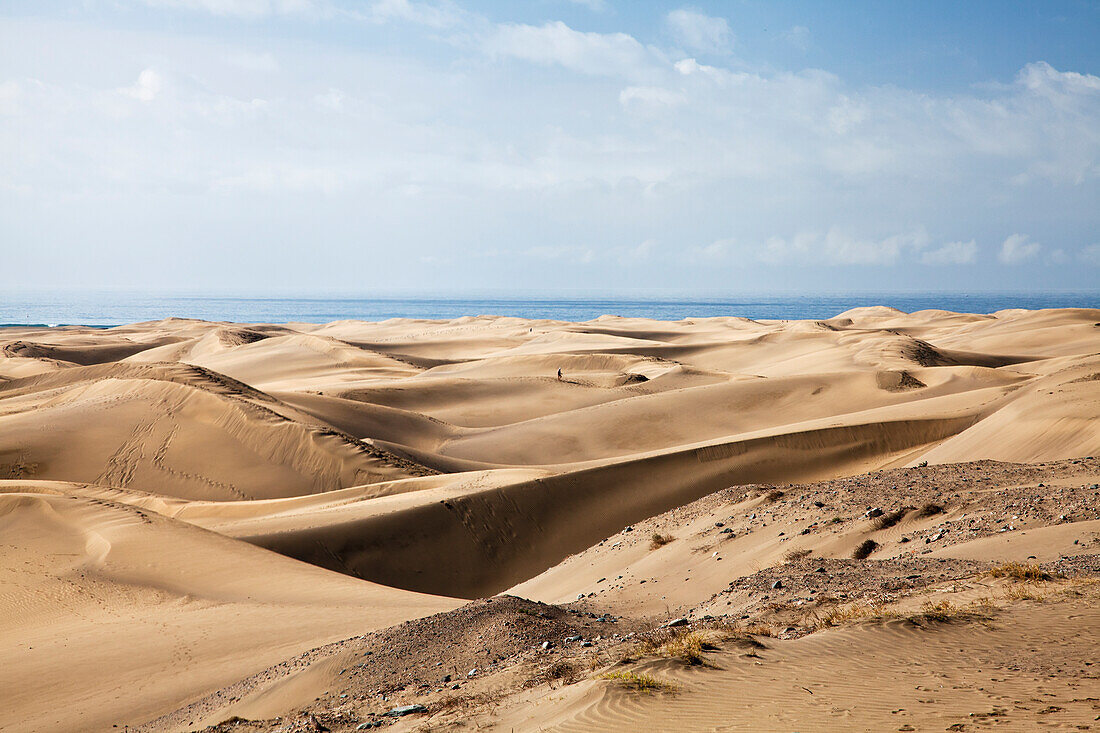 Lone Walker On The Sand Dunes; Maspalona, Gran Canaria, Spain
