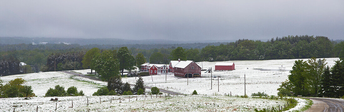 Late Spring Snowfall On A Farm With A Red Barn; Ville De Lac Brome, Quebec, Canada
