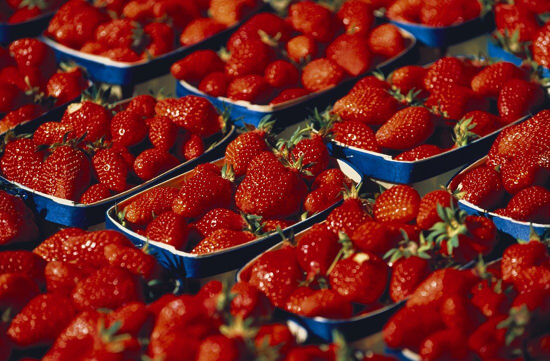Many Cartons of Strawberries at the Market