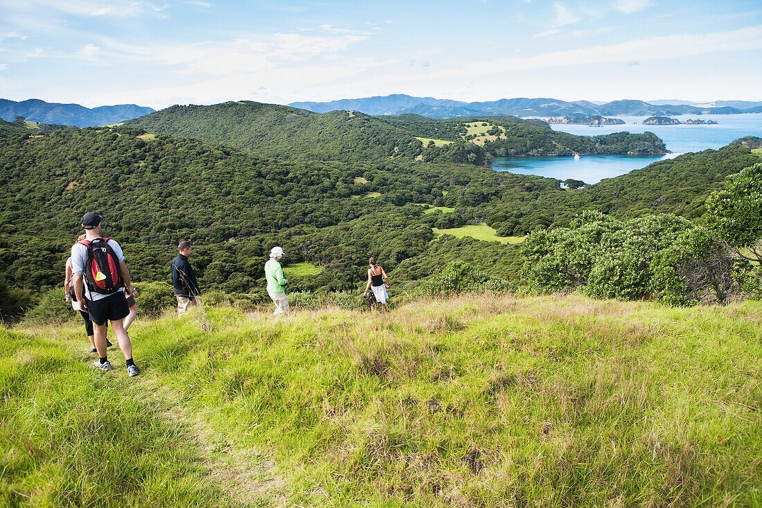 A Group Walks On A Trail On Urupukapuka Island; Bay Of Islands, New Zealand