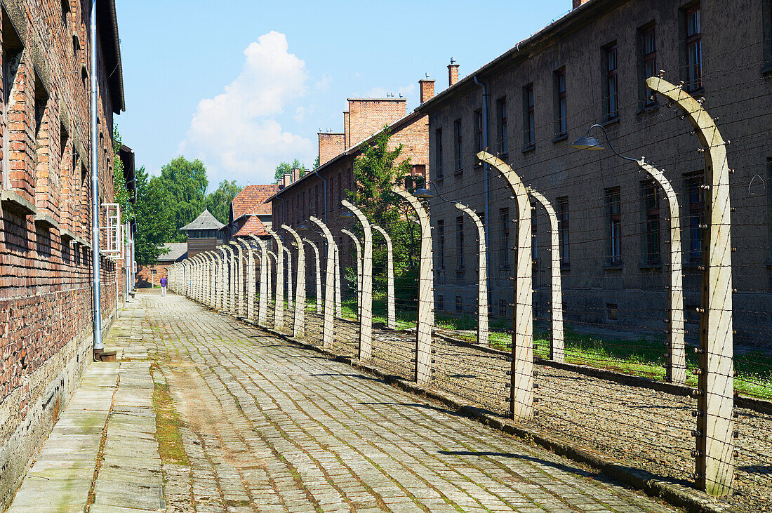Path Between Prisoner Blocks In Auschwitz Concentration Camp; Osweciem, Poland