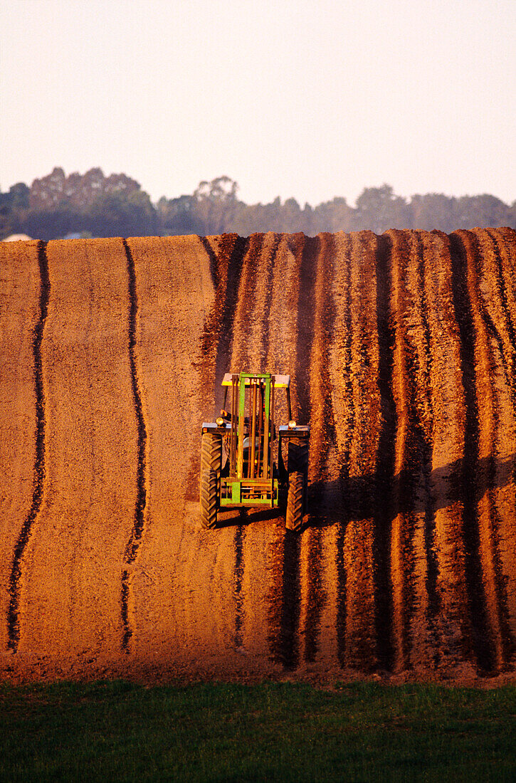 Ploughing Potato Field