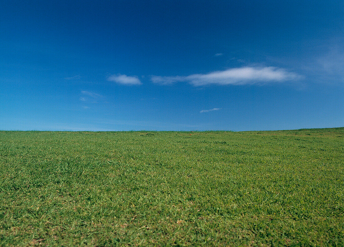 Grüne Landschaft mit blauem Himmel