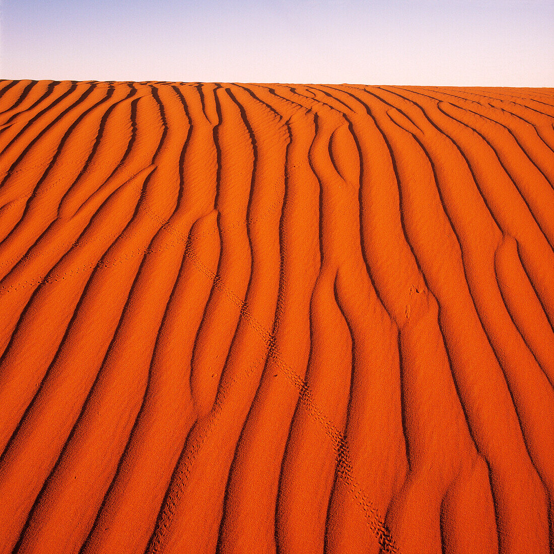 Desert, Red Sand Dune