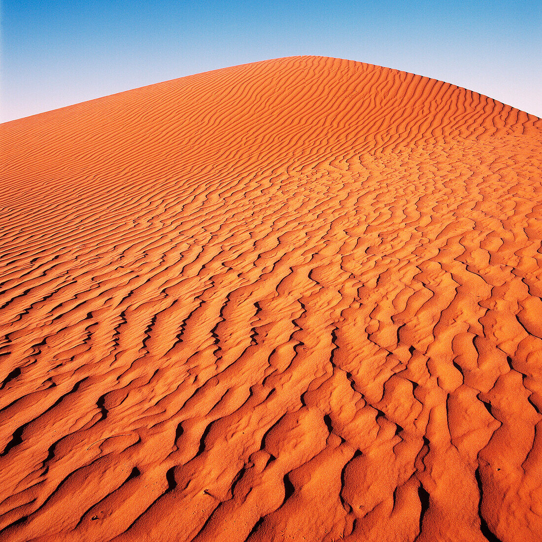 Desert, Red Sand Dune