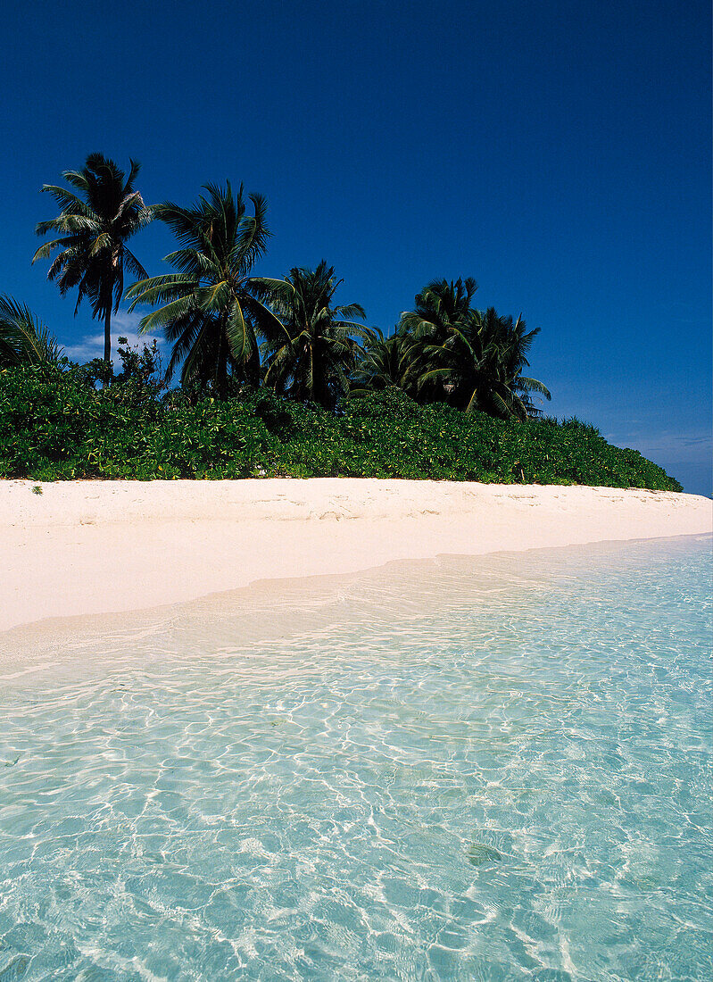 Tropische Meereslandschaft, Kokosnusspalmen am Strand