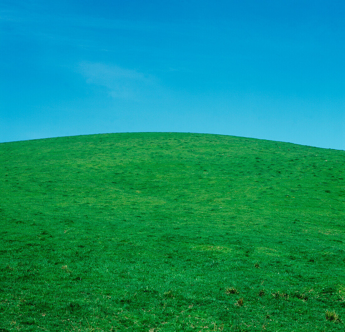 Grünes Gras und blauer Himmel, Gippsland, Victoria, Australien