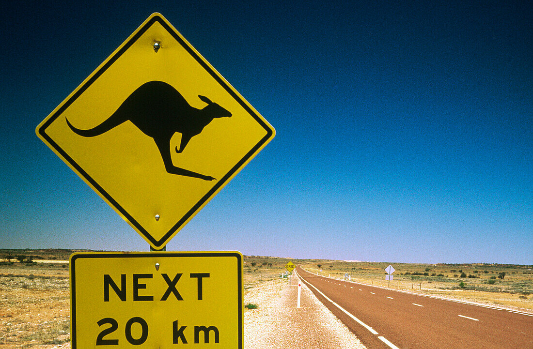 Kangaroo Crossing Sign, Australian Outback, Australia