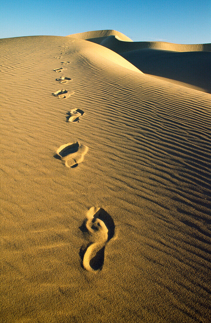 Footsteps on Sand Dune, Desert