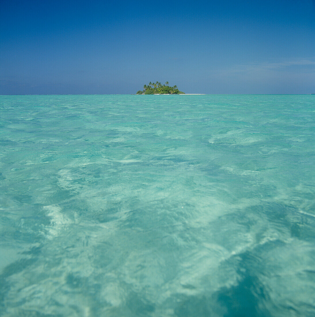Tropical Island, Maldives