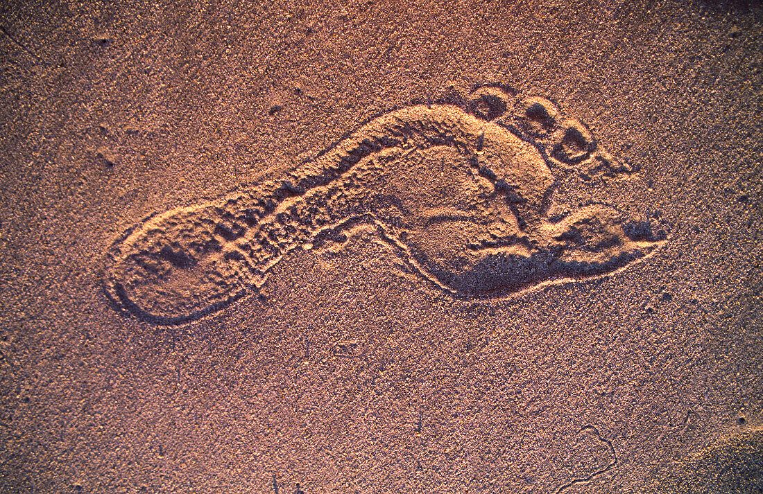 Foot Print in Beach Sand