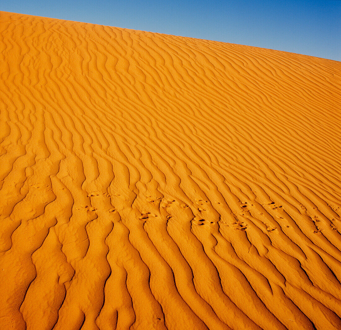 Sand Dunes, Simpson Desert, Australia