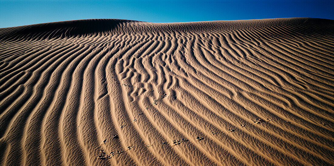 Sand Dunes, Lake Mungo, Australia