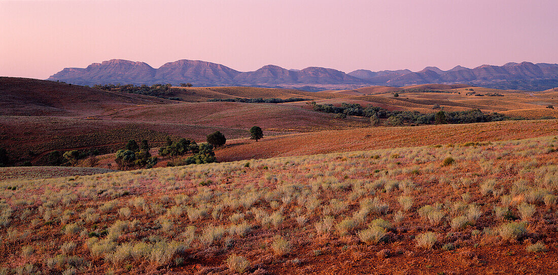 Landschaft, Flinders Ranges, Wilpena Pound, Australien
